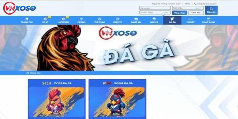 Vì sao game đá gà online lại được ưa chuộng nhiều đến thế?